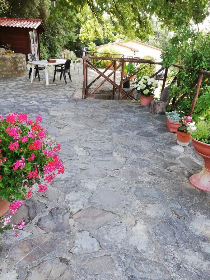 Villino Rosi Villa Monteverdi Marittimo Buitenkant foto