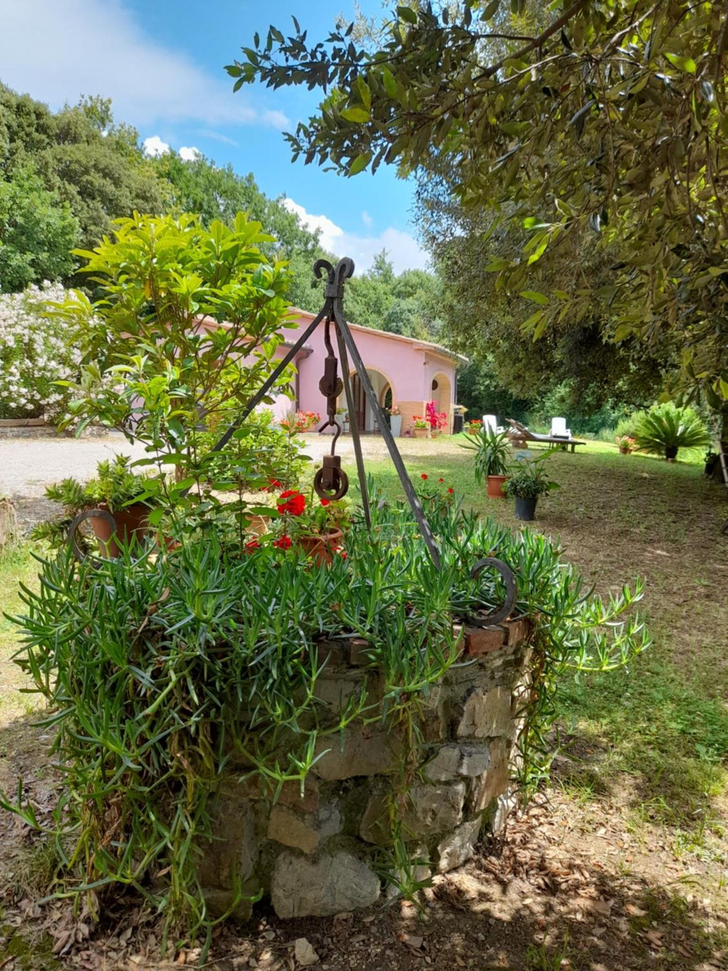 Villino Rosi Villa Monteverdi Marittimo Buitenkant foto